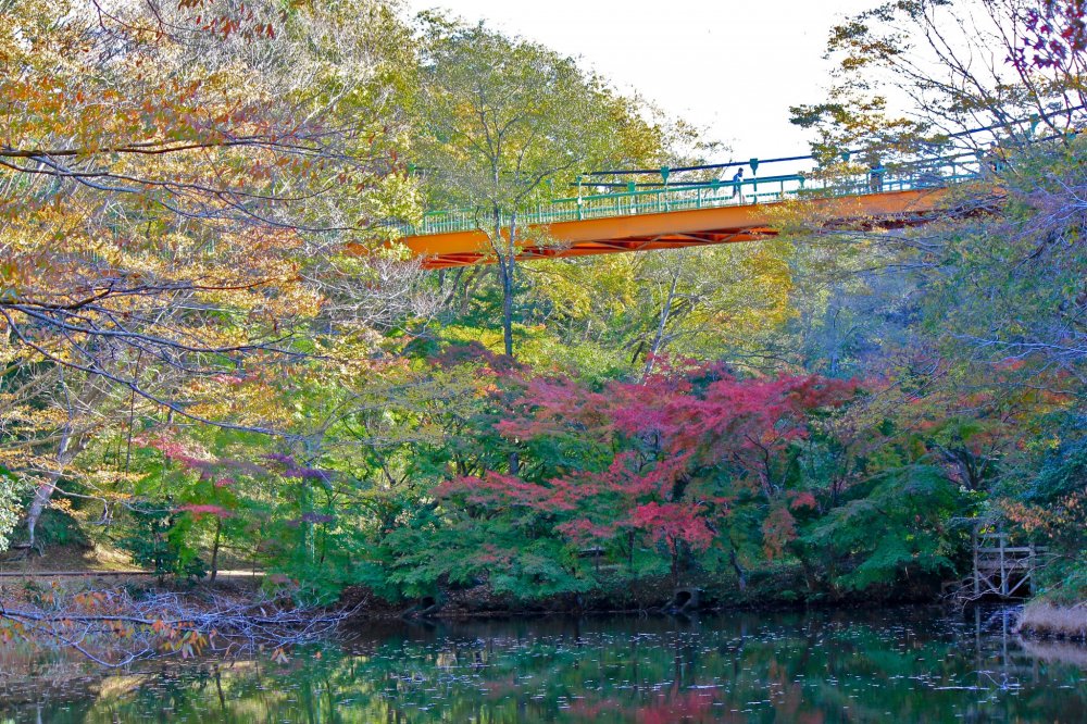 Jembatan gantung Izumi membentang 64,4 meter di atas kolam