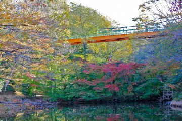 สะพานแห่งสวนอิซุมิในชิบะ