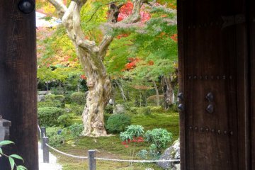 <p>A view through the temple&#39;s wooden door to the inner garden</p>
