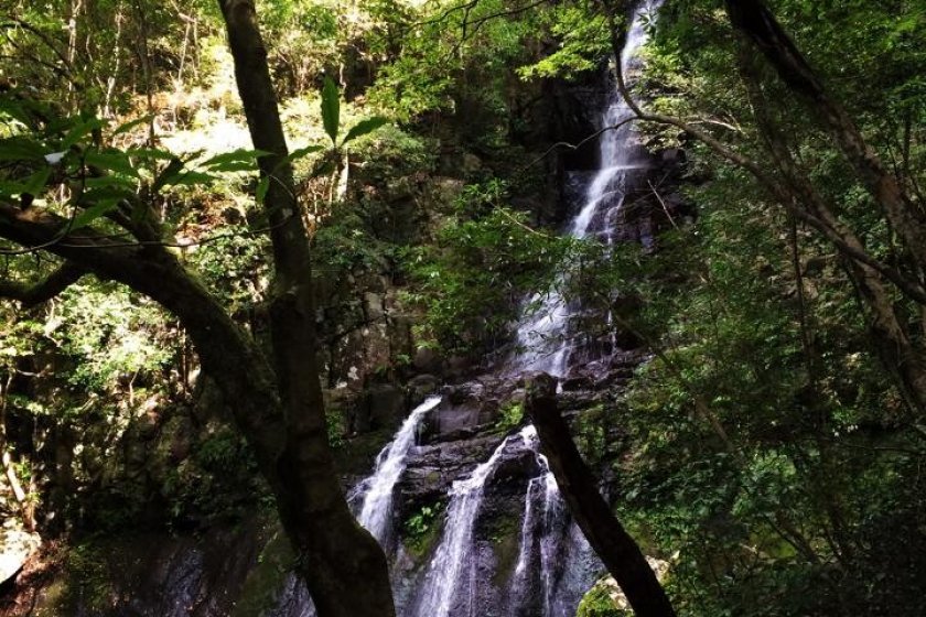 With a 30 meter drop, Oh-taki is the largest of the waterfalls on the trail.  