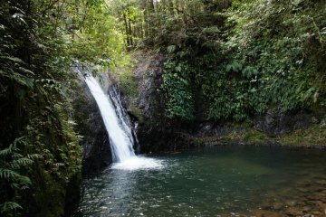<p>Zatou-daki, the&nbsp;waterfall closest to Yunotsuru&nbsp;onsen town,&nbsp;can be accessed easily from the road.&nbsp;</p>