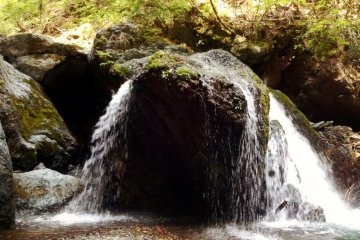 <p>Водопад, стпрятанный в лесу, возле Хаякава</p>