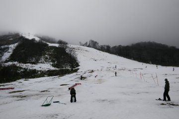 <p>Patchy snow coverage off the side of the runs</p>