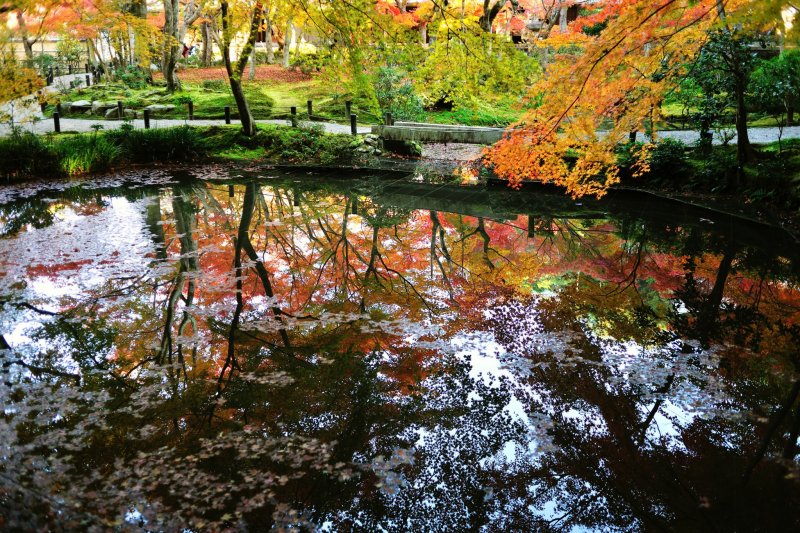 <p>Autumn leaves reflected on the water surface of Seiryuchi Pond</p>