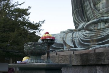 <p>Delicious apples offered to the Daibutsu</p>