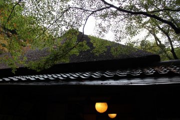 <p>The autumn leaves fall onto the thatched roof, creating a beautiful scene</p>