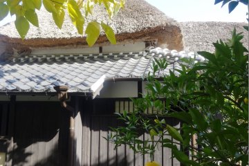<p>Much care is taken to keep up the thatched roofs of these old homes</p>