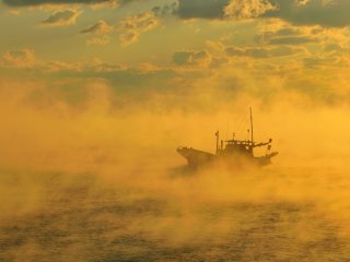 Fishing boat gliding over the foggy sea