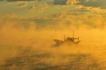 Fishing boat gliding over the foggy sea