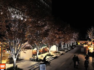 Pencahayaan pada pohon-pohon di pinggir jalan &nbsp;
