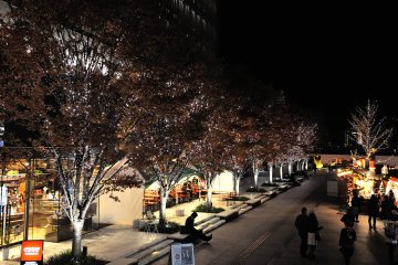<p>Illuminated tree-lined street</p>