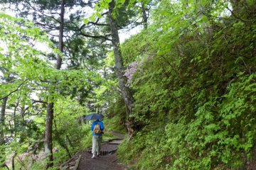 A round trip hike around Yunoko Lake takes about one hour. 
