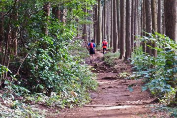 <p>Several trail runners who I saw during the hike</p>