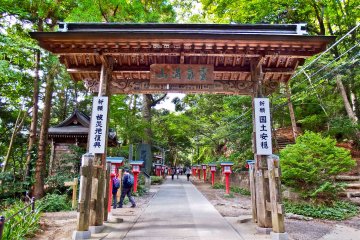 Mount Takao’s Yakuo-in Temple 