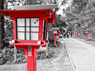 De chaque côté du chemin menant au Yakuô-in se trouvent d'innombrables lanternes rouges