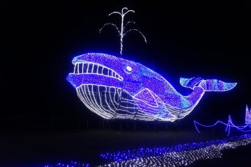 <p>A whale spouts LED lights in the undersea display</p>