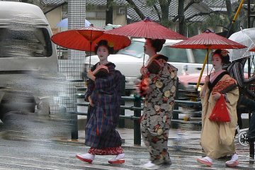 <p>I was lucky enough to see three maiko on their way to the performance</p>