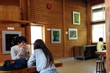 <p>Relax in their log cabin surrounds at Pizza Kajikarno Miyama</p>