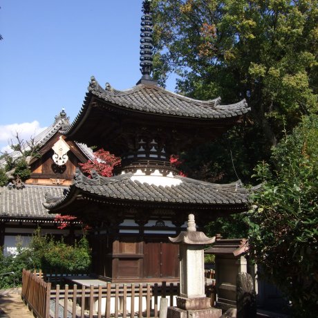 京都　宝塔寺