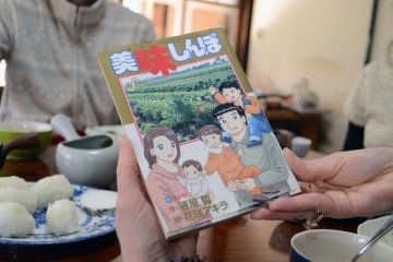 <p>Sitting under the kotatsu reading tea-farm themed manga, about the tea farm we visited</p>