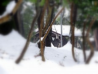 境内奥の地蔵小屋。残念ながら雪に阻まれ、ここにも近付けなかった。