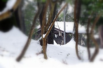 <p>Хижина Дзидзо в глубине территории храма. К сожалению, туда тоже не подойти из-за снега</p>