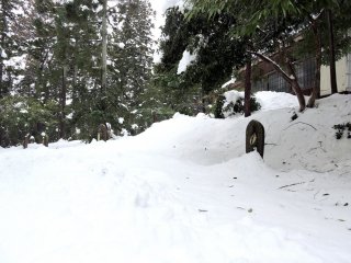 三十三観音巡礼用の遊歩道は、すっかり雪に埋もれ姿も形もない!