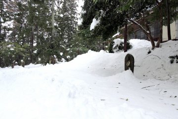 <p>Паломническая тропа затеряна под снегом</p>