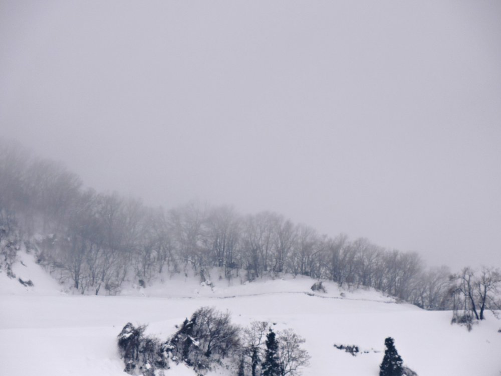 泰澄寺は美しい雪山の麓に建っている