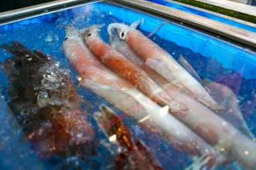 <p>Some of the ocean-fresh seafood on display and ready to be consumed!</p>