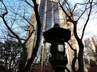 Bronze lantern and bare trees in shadow with the tall Prince Sakura Tower Tokyo in the background