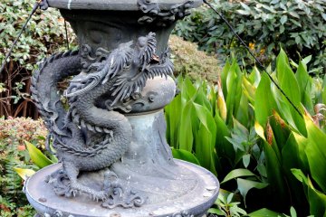 <p>A dragon in the garden</p>