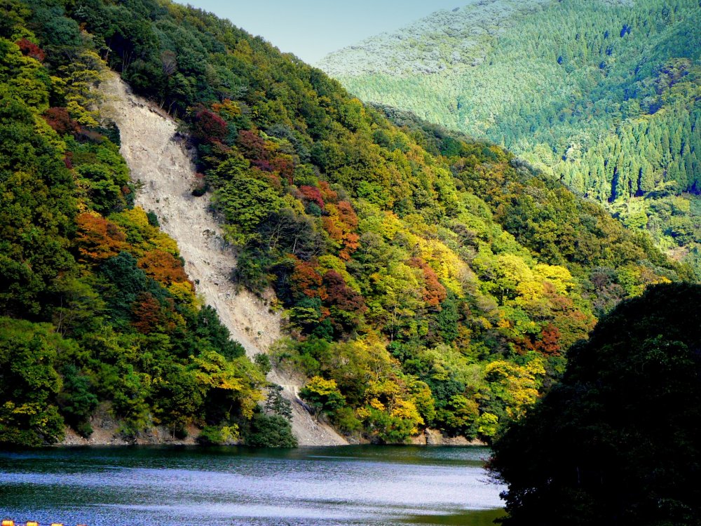 Kerikil yang meluncur ke sungai menggilas pepohonan berwarna musim gugur.
