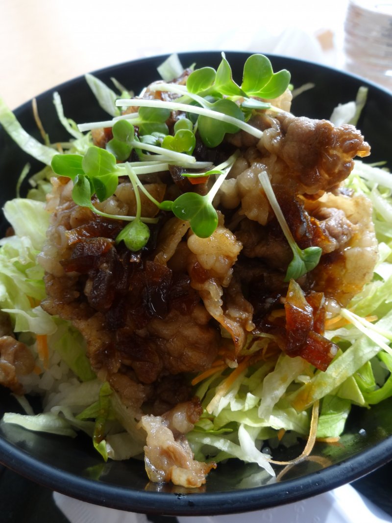 <p>The beef and cabbage bowl at the Wakayama City Hall cafeteria</p>