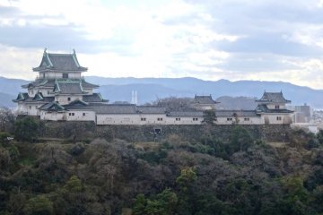 <p>The views of Wakayama Castle from the cafeteria&#39;s windows are stunning</p>