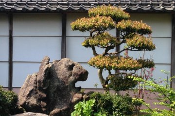 <p>The manicured viewing garden is famous for its lion shaped rock statues, as well as the turtles that represent long life in Japanese culture.&nbsp;</p>
