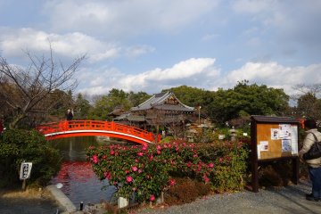 Wandering Shinsen-en Garden