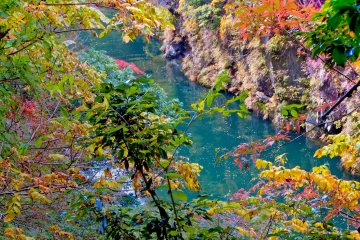 <p>Following the river upstream where you will see some of autumn&#39;s colors contrasting against the Tama River</p>