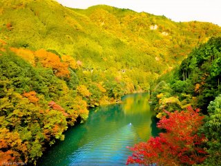 Khi bạn đi bộ dọc theo con sông, bạn sẽ thấy những dấu hiệu đầu tiên của tán lá đỏ mùa thu