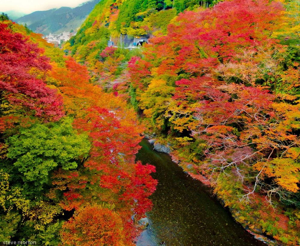 Throughout the year this gorge is an impressive sight, but even more so during the autumn season where the rich and vibrant colors bring everything to life!