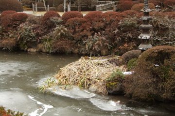 สระน้ำกลายเป็นน้ำแข็งในสวน Shoyoen Garden แห่งวัด Rinno-ji  