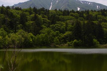 Красивое отражение горы Рисири в пруду Химэнума
