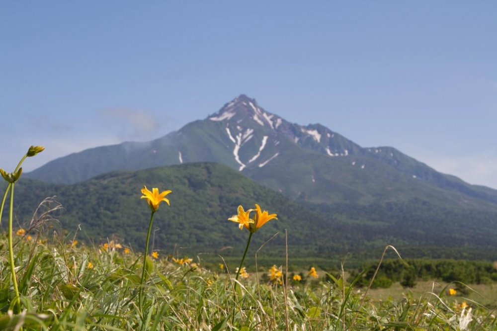 Mt. Rishiri showing of its full splendor