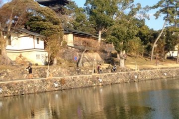 <p>A small pond near Kōfuku-ji</p>