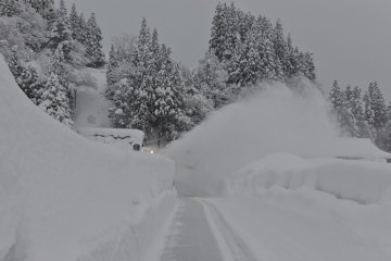 <p>รถกวาดหิมะทำงานอยู่บนถนนแต่เช้า หิมะบนที่ส่วนตัว จะต้องโกยขึ้นกันเอง</p>