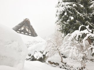 明善寺の本堂を妻側から撮る！勝手口は既に雪の壁になっている