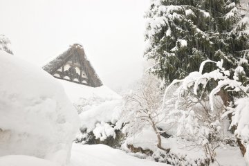 <p>Back view of Myozenji Temple&#39;s main hall. The back entrance was completely blocked by a snow wall!</p>