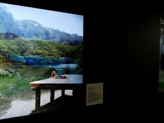 Some companies such as Sony have special awards for images and they show the awarded images on huge TV screens.&nbsp;