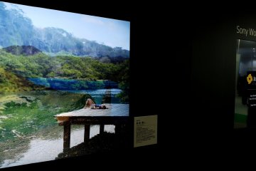<p>Some companies such as Sony have special awards for images and they show the awarded images on huge TV screens.&nbsp;</p>