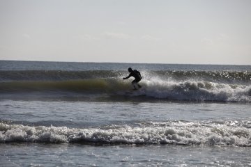 <p>One of the many surfers</p>